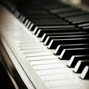 国产福利免费视频
