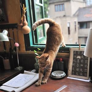 国产福利免费视频
